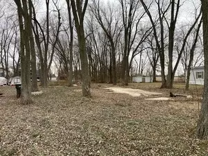 1065 W Main St, Braidwood, IL 60408