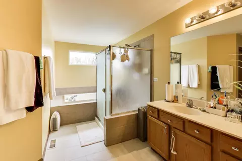 Bath - 822 Tall Grass Trl, Matteson, IL 60443 photo 3 of 5