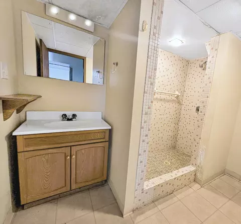 Bath - 1203 Mount Vernon Dr, Bloomington, IL 61704 photo 5 of 5