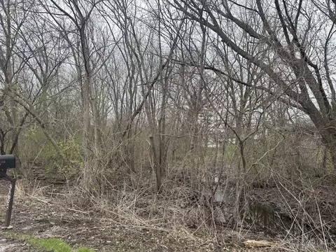 22828 Frederick Rd, Steger, IL 60475 photo 2