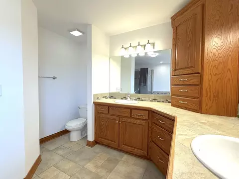 Bath - 25202 S Doolittle Dr, Monee, IL 60449 photo 3 of 6