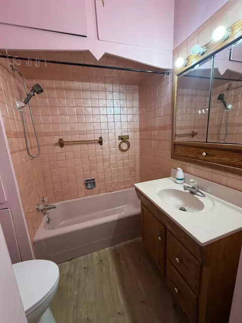 Bath - 385 E Main St, Sheldon, IL 60966 photo 3 of 3