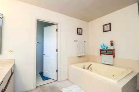 Bath - 35 Meyerson Way, Wheeling, IL 60090 photo 3 of 7