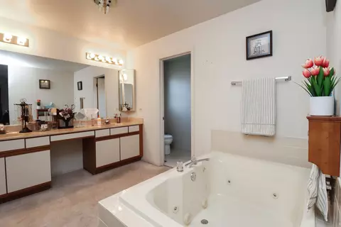 Bath - 35 Meyerson Way, Wheeling, IL 60090 photo 2 of 7
