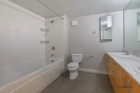 Bath - 939 W Madison St #403, Chicago, IL 60607 photo 1 of 3