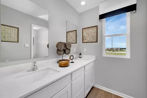Bath - 2632 Camelback Dr, Pingree Grove, IL 60140 photo 3 of 3