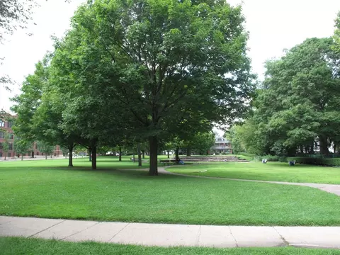 Other - 911 Maple Ave #2N, Evanston, IL 60202 photo 6 of 6