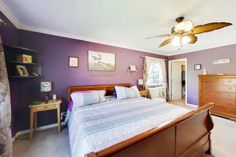 Bedroom - 24851 Michele Dr, Plainfield, IL 60544 photo 2 of 6