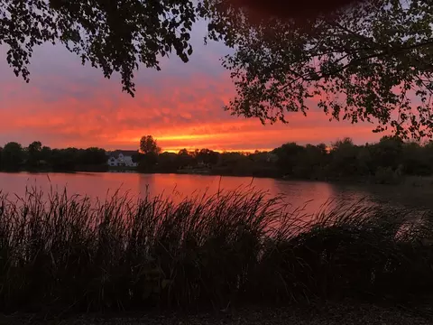 View/Area - 4 Mohawk Dr, South Barrington, IL 60010 photo 5 of 5