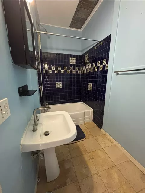 Bath - 419 E 46th St, Chicago, IL 60653 photo 1 of 3