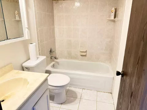 Bath - 375 Longford Dr, Elgin, IL 60120 photo 3 of 6