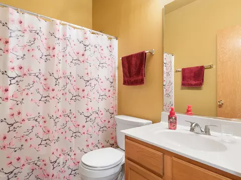 Bath - 1307 Broadlawn Dr, Plainfield, IL 60586 photo 3 of 3