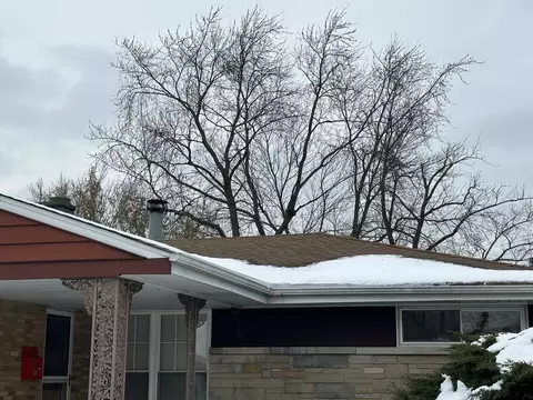 7520 Arcadia St, Morton Grove, IL 60053