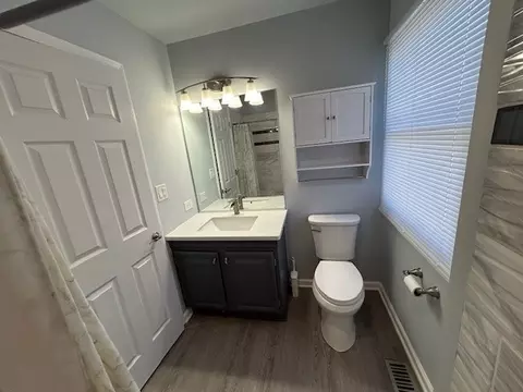 Bath - 24014 W Heather Ct, Plainfield, IL 60585 photo 3 of 4