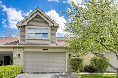 723 N Walden Dr, Palatine, IL 60067
