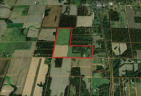 1132 S Jefferson St, Kell, IL 62853 photo 3