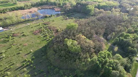 0 Widows Rd, Wilmington, IL 60481