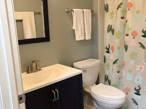 Bath - 1733 Portsmith Ct, Bartlett, IL 60103 photo 3 of 3