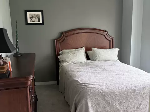 Bedroom - 1733 Portsmith Ct, Bartlett, IL 60103 photo 3 of 4