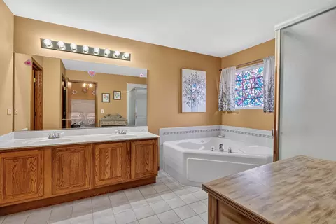 Bath - 5205 Brookshire Estates Dr, Plainfield, IL 60586 photo 3 of 5