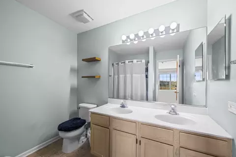 Bath - 1299 Summersweet Ln, Bartlett, IL 60103 photo 3 of 4