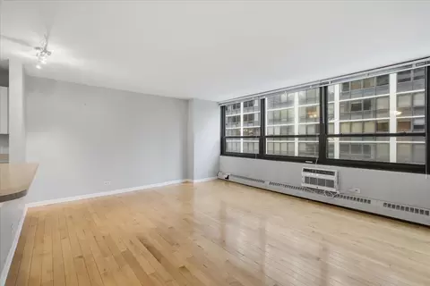 Living - 33 E Cedar St #5B, Chicago, IL 60611 photo 1 of 4