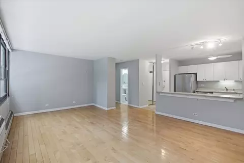Living - 33 E Cedar St #5B, Chicago, IL 60611 photo 3 of 4