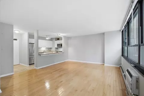 Living - 33 E Cedar St #5B, Chicago, IL 60611 photo 2 of 4