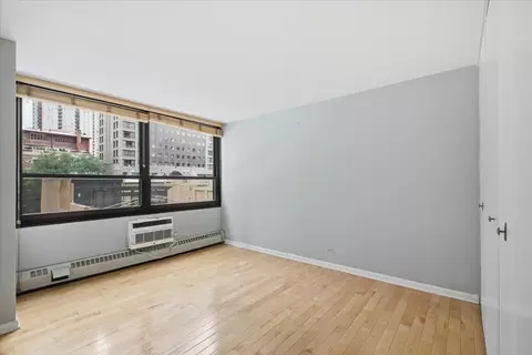 Other - 33 E Cedar St #5B, Chicago, IL 60611 photo 2 of 5