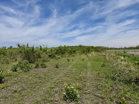 000 Kankakee St, Reddick, IL 60961 photo 2