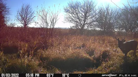 000 Kankakee St, Reddick, IL 60961 photo 25