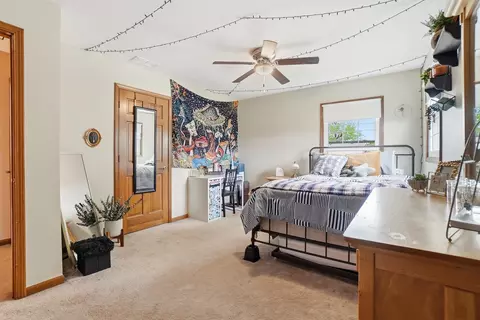 Bedroom - 16249 S Howard St, Plainfield, IL 60586 photo 4 of 6