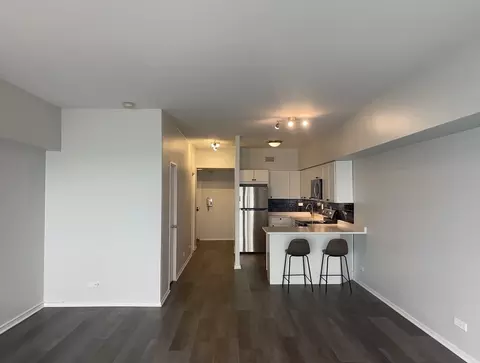 Other - 175 E Delaware Pl #5004, Chicago, IL 60611 photo 3 of 6