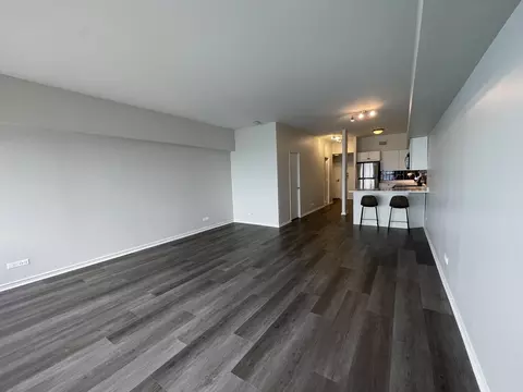 Living - 175 E Delaware Pl #5004, Chicago, IL 60611 photo 4 of 4