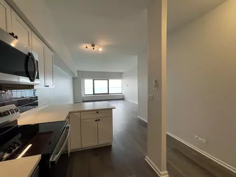 Other - 175 E Delaware Pl #5004, Chicago, IL 60611 photo 2 of 6