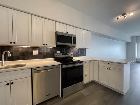 Kitchen - 175 E Delaware Pl #5004, Chicago, IL 60611 photo 1 of 2