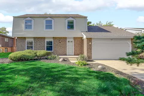 939 Honey Ln, Crete, IL 60417