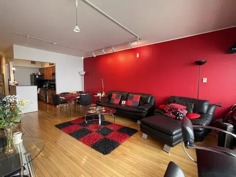 Living - 175 E Delaware Pl #5604, Chicago, IL 60611 photo 3 of 4