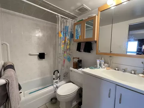 Bath - 175 E Delaware Pl #5604, Chicago, IL 60611 photo 1 of 2