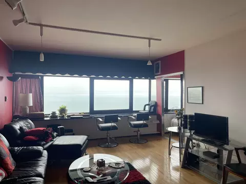 Living - 175 E Delaware Pl #5604, Chicago, IL 60611 photo 2 of 4