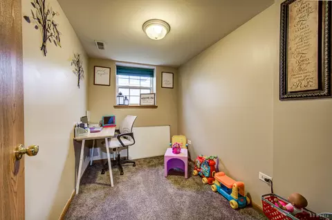 Other - 25606 S Jonquil Ln, Monee, IL 60449 photo 8 of 8