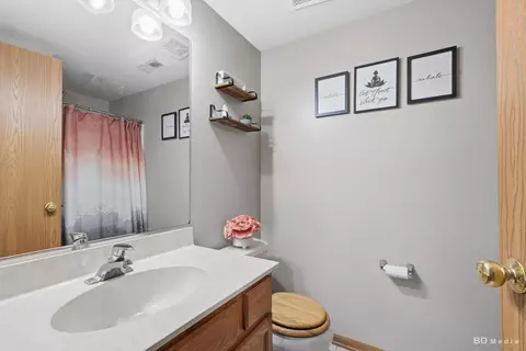 Bath - 25606 S Jonquil Ln, Monee, IL 60449 photo 1 of 3