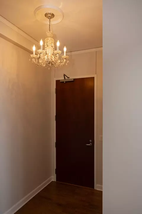 Entry Way - 420 E Waterside Dr #4114, Chicago, IL 60601 photo 3 of 3