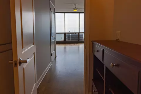 Entry Way - 420 E Waterside Dr #4114, Chicago, IL 60601 photo 2 of 3