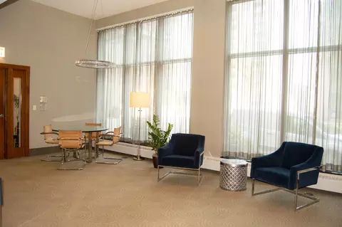 Other - 420 E Waterside Dr #4114, Chicago, IL 60601 photo 17 of 22