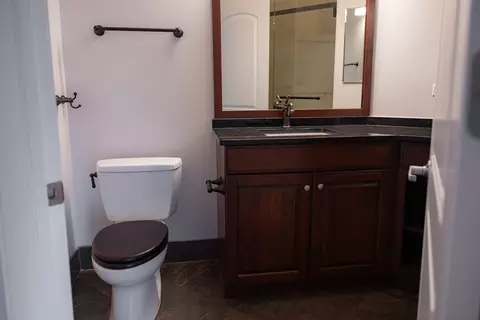 Bath - 420 E Waterside Dr #4114, Chicago, IL 60601 photo 10 of 10