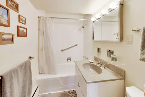 Bath - 1456 E Park Pl, Chicago, IL 60637 photo 1 of 2