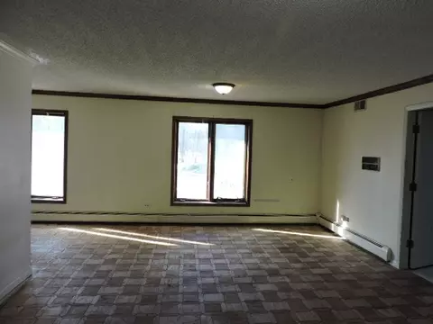 Living - 2958 E Timberline Ct, Crete, IL 60417 photo 6 of 9