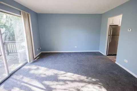 1119 S Curtis Ave #F62, Kankakee, IL 60901 photo 10