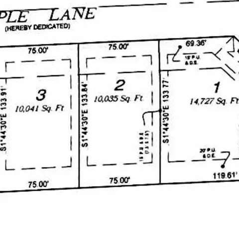 002 Maple Ln, Manhattan, IL 60442 photo 2